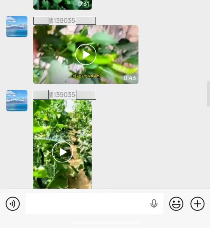 截图4 第 4 段